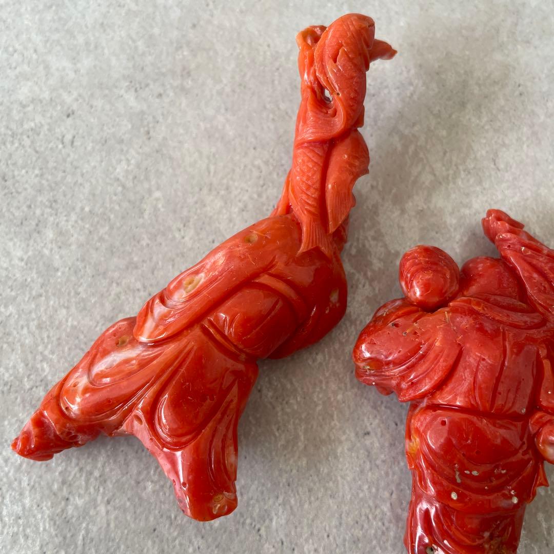 【サンゴを買収する様】ご確認用