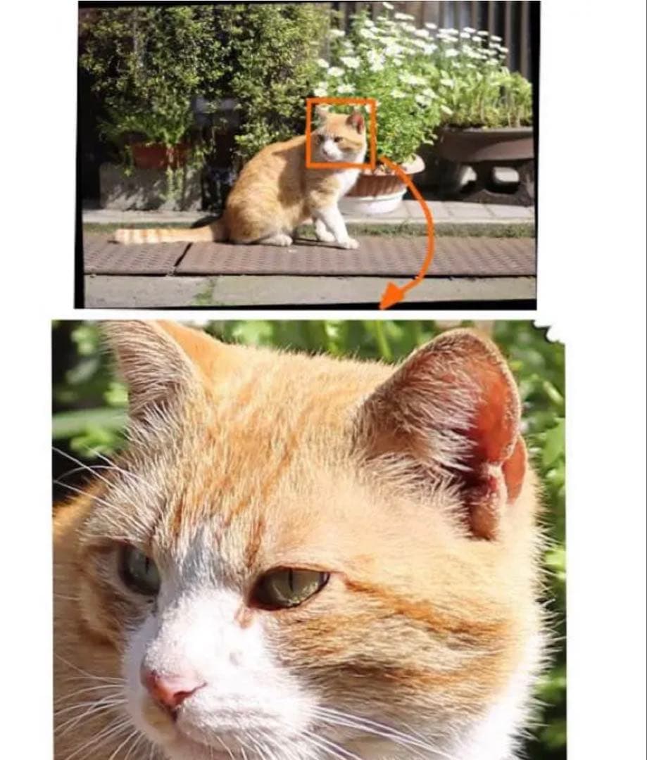 CANON EOSRシリーズ対応！ミラーレスカメラ用！サードパーティ製85mm