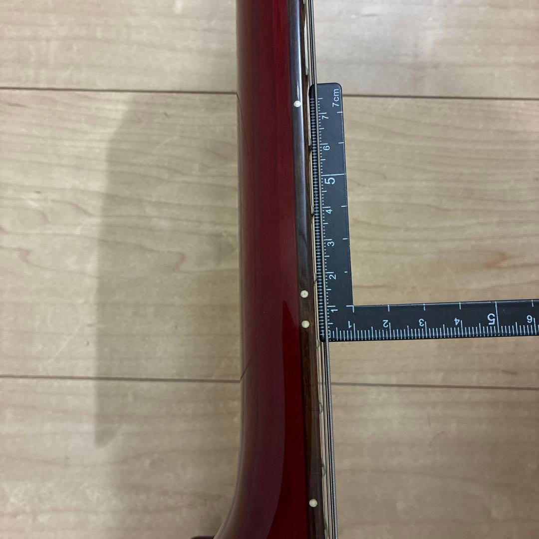 レア！Grass Roots G-SR-IGUANAグラスルーツ エレキギター