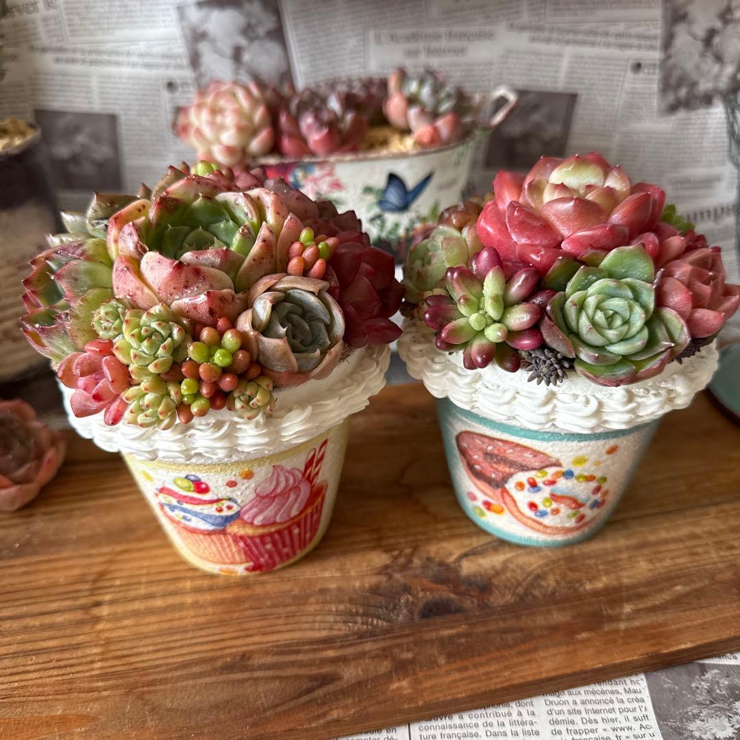 ❤︎sweets whip❤︎ そのまま飾れる多肉植物の寄せ植えリメ鉢ちまリメ缶