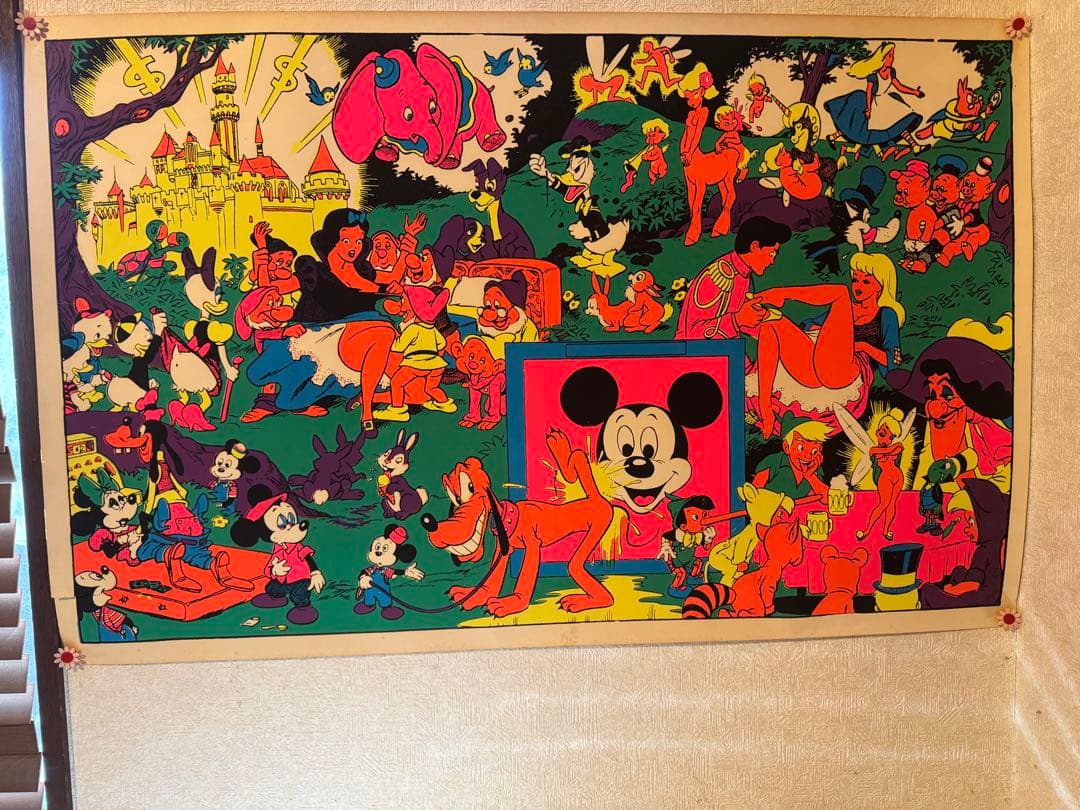 The Disneyland Memorial Orgyポスター