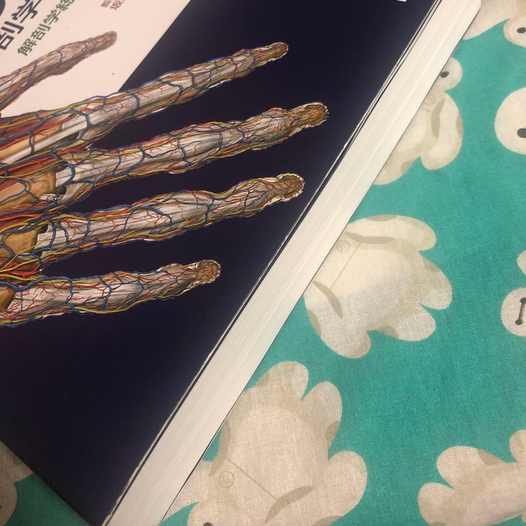 運動器臨床解剖アトラス　プロメテウス解剖学アトラス　解剖学専門書4冊セット