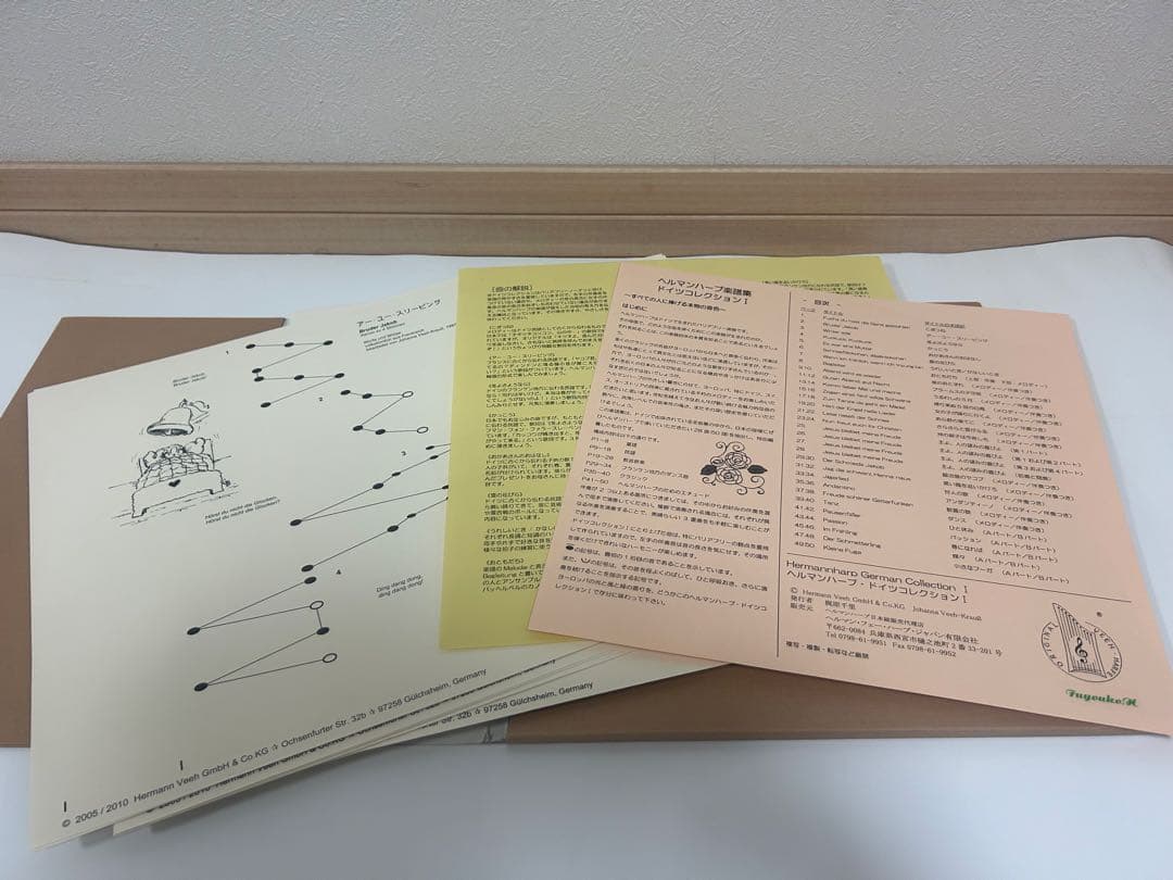 ヘルマンハープ Mタイプ 25弦 2013年製