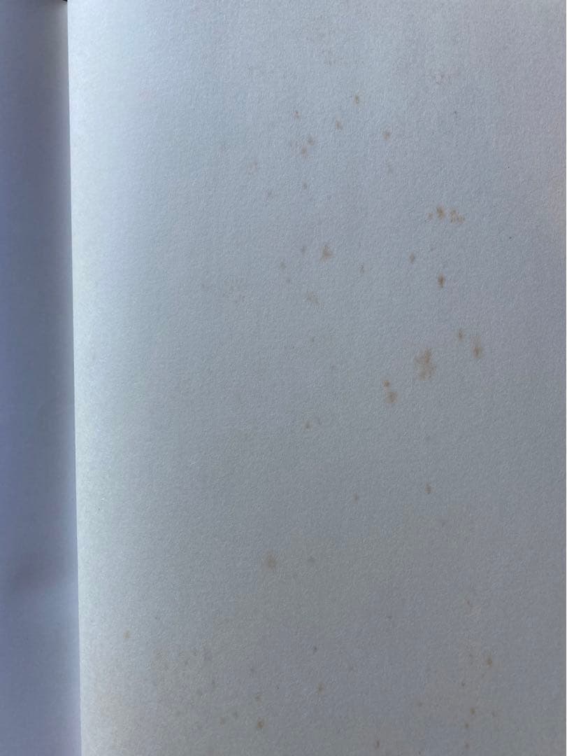 人間と音楽の歴史　記譜法　2冊セット　★