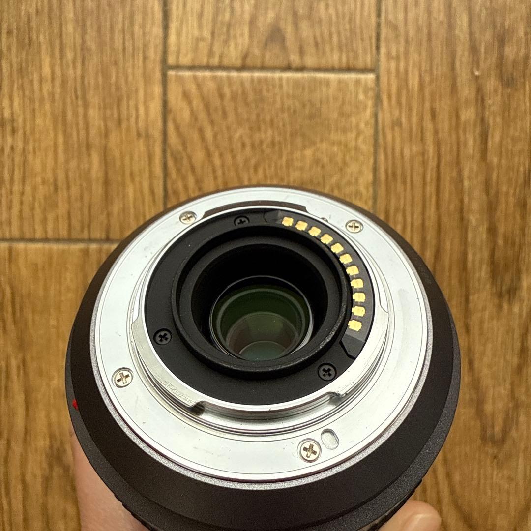 Panasonic H-FS045200 45-200mm ズームレンズ