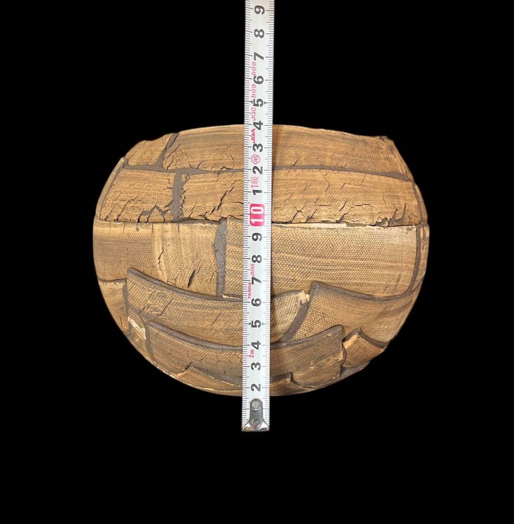 希少 新品 信楽焼 鉢COMWORK STUDIO コムワーク 陶器 塊根