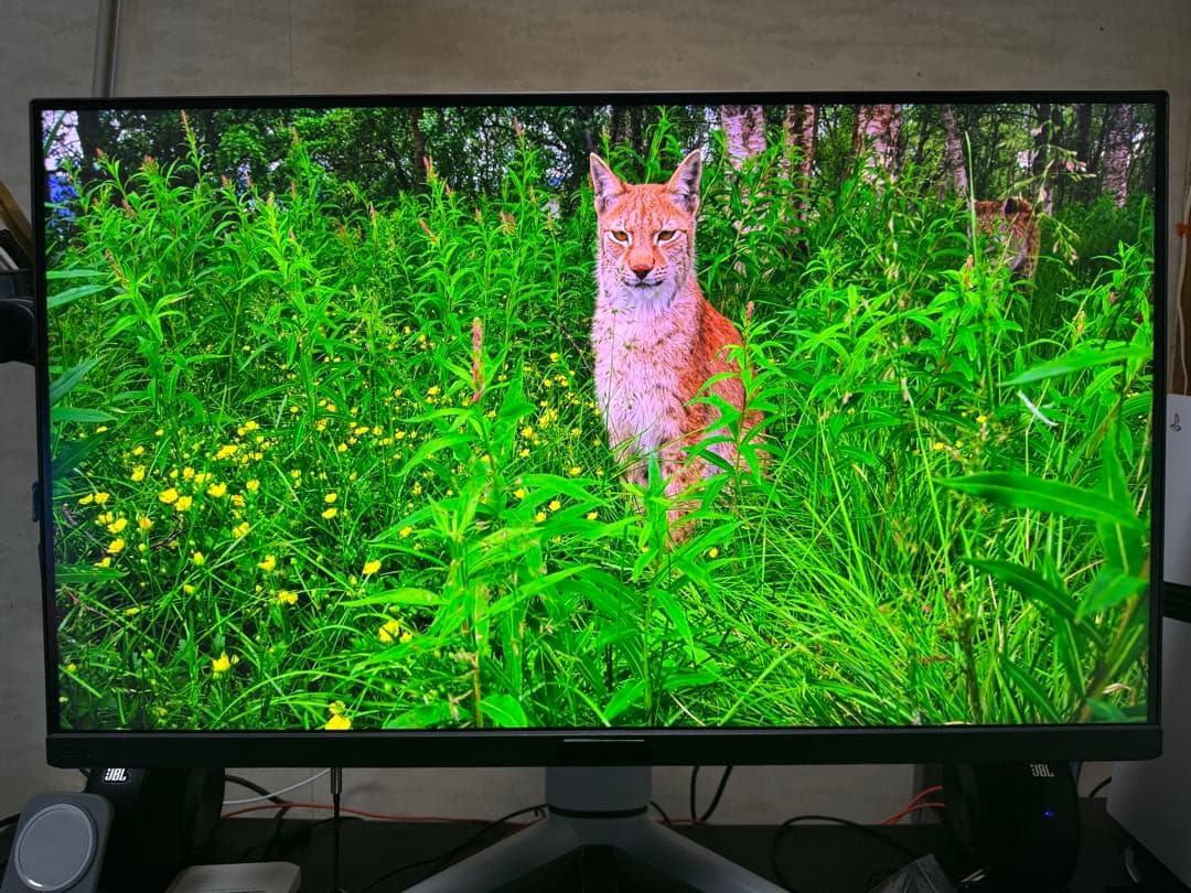 BenQ MOBIUZ EX321UX 31.5インチ4K ミニLED量子ドット