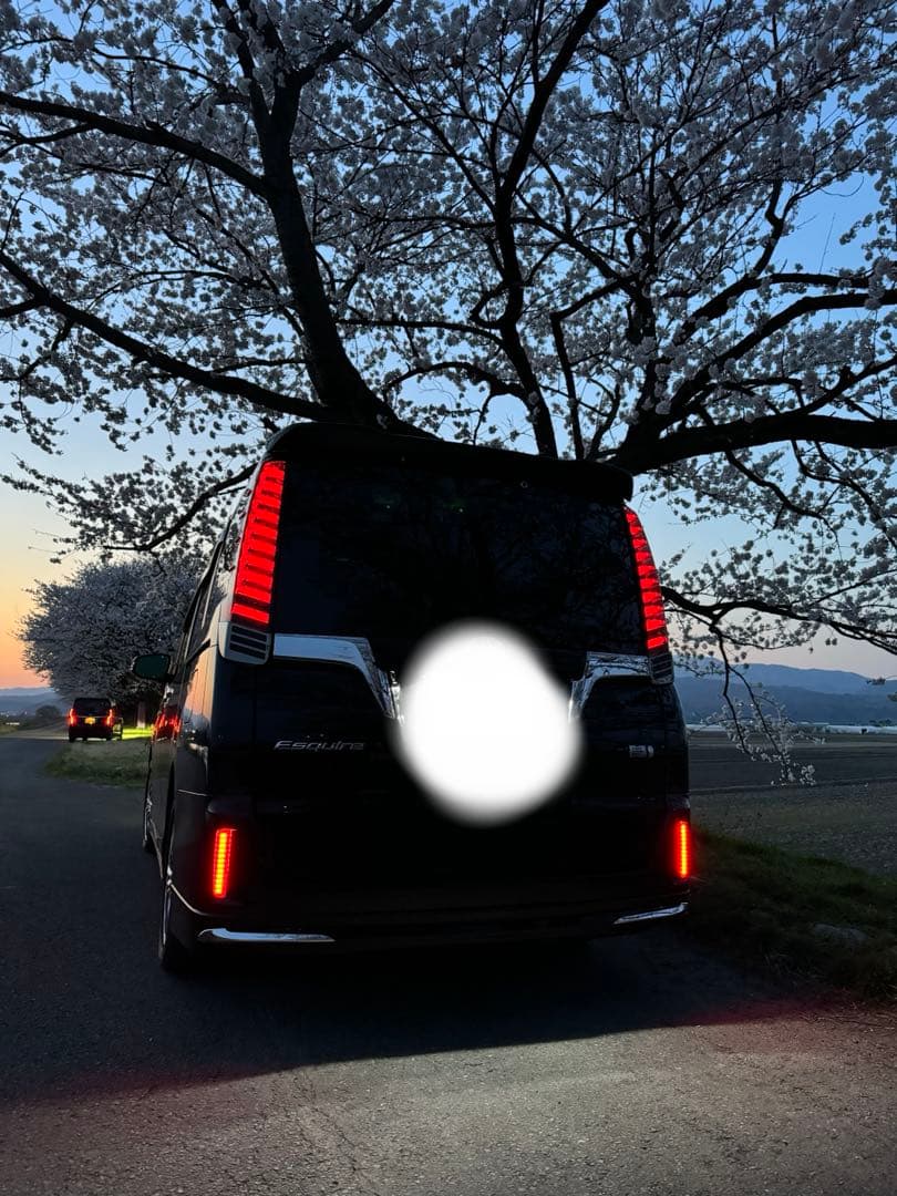 ダズテール　限定色！！　80ヴォクシーノアエスクァイア