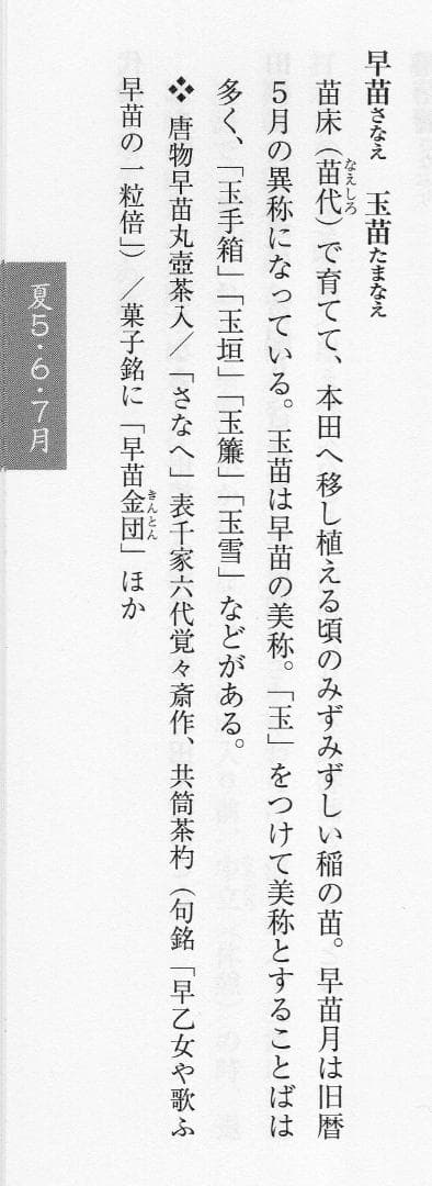裏千家14世淡々斎宗室自作　竹茶杓　銘：早苗（共箱）下削り：12代黒田正玄