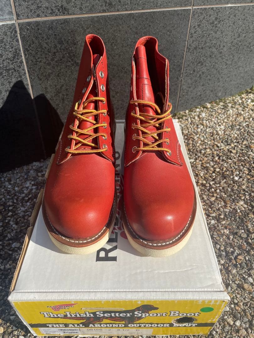 RED WING貴重 復刻犬タグ 8166 6inch アイリッシュセッター　2