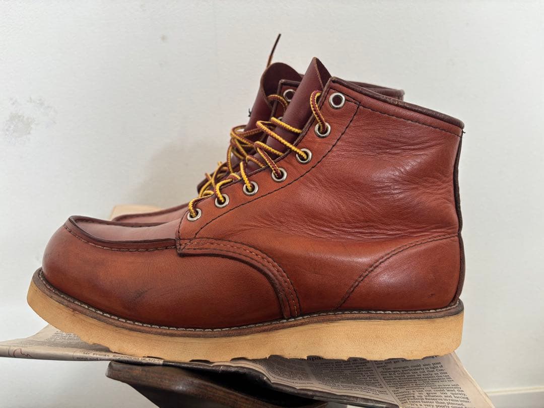 ひ*わ様 レッドウイング　犬タグ