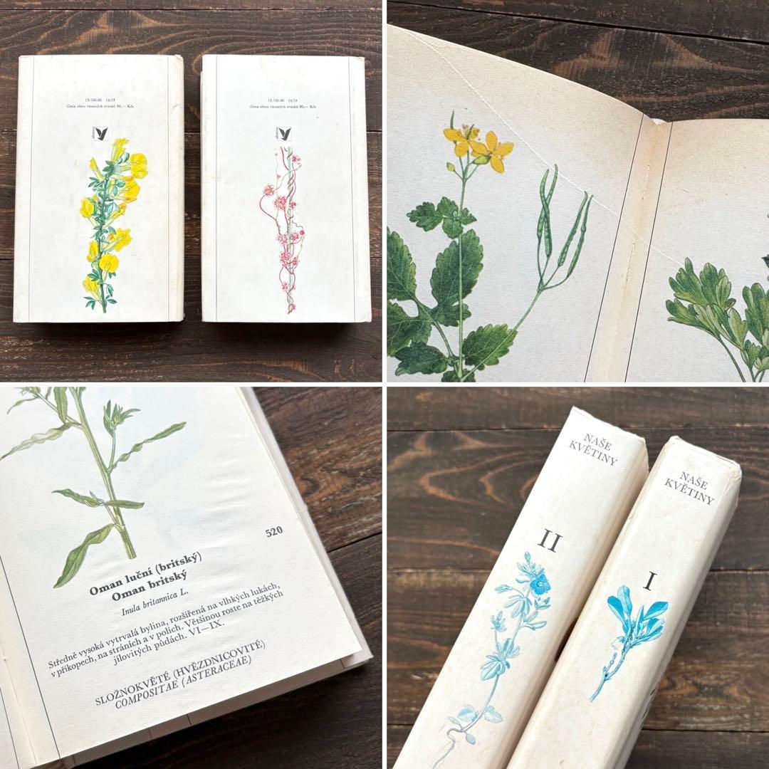 [698種類の植物画]チェコの古い植物図鑑2冊セット(1980年)/植物画/