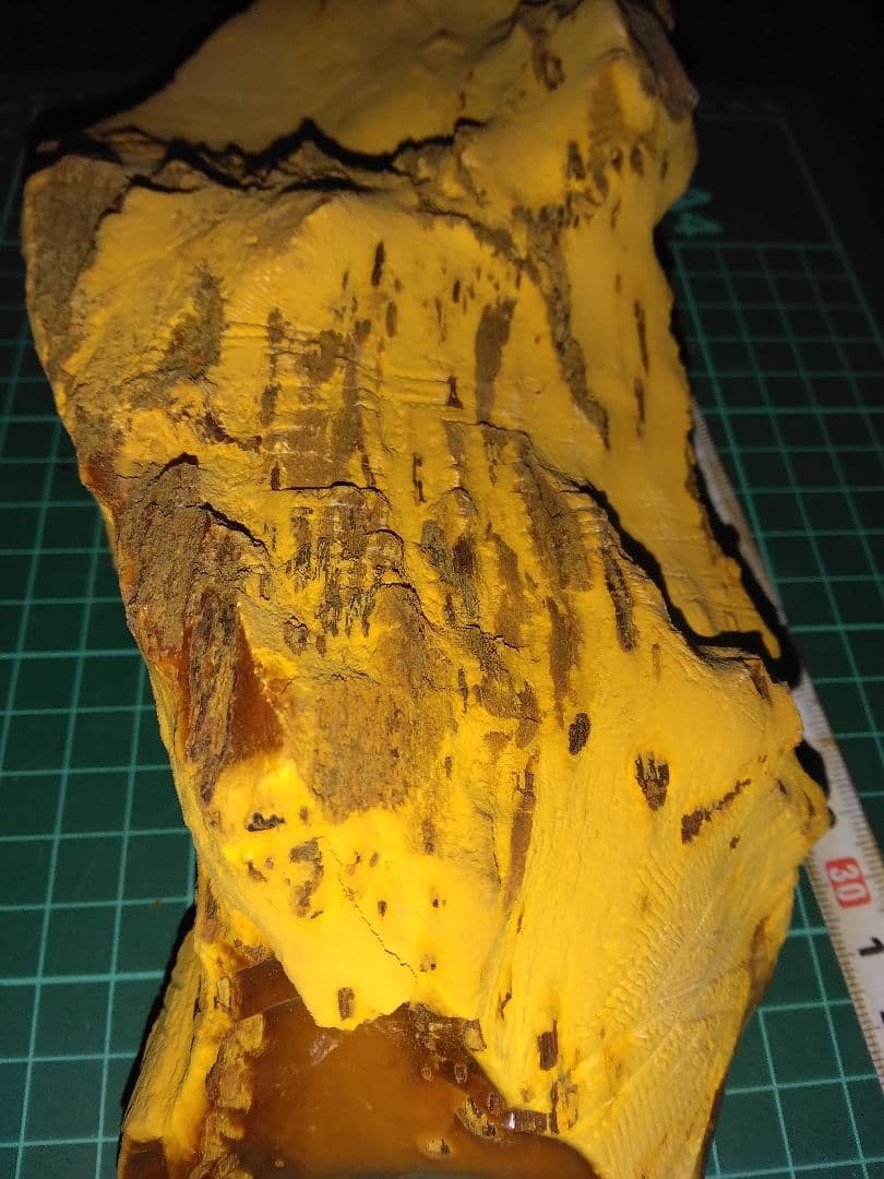 珪化木？産地不明　内部鉱物化　鉱物標本　不思議な石　オパール化？