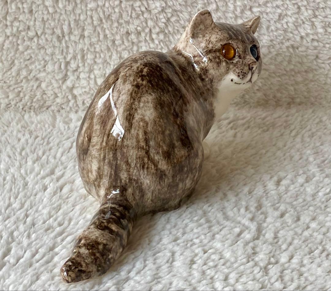 ウィンスタンレイキャット　ケンジントンキャット　丸まり猫　オッドアイ　サイズ2