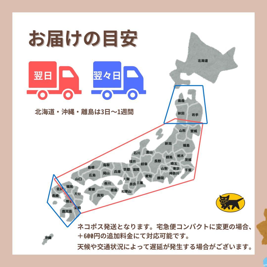 A 電池89% iPad 9 第9世代　256 GB シルバー　Wi-Fi 本体