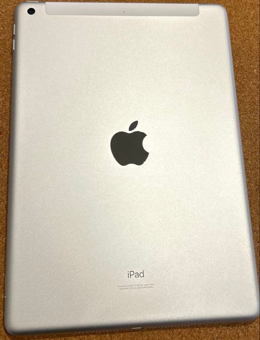 Apple iPad9 第9世代 64GB (10)