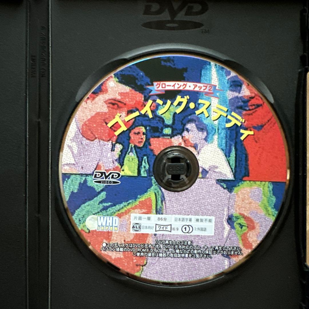 Lemon Popsicle & ゴーイング・ステディ DVDセット