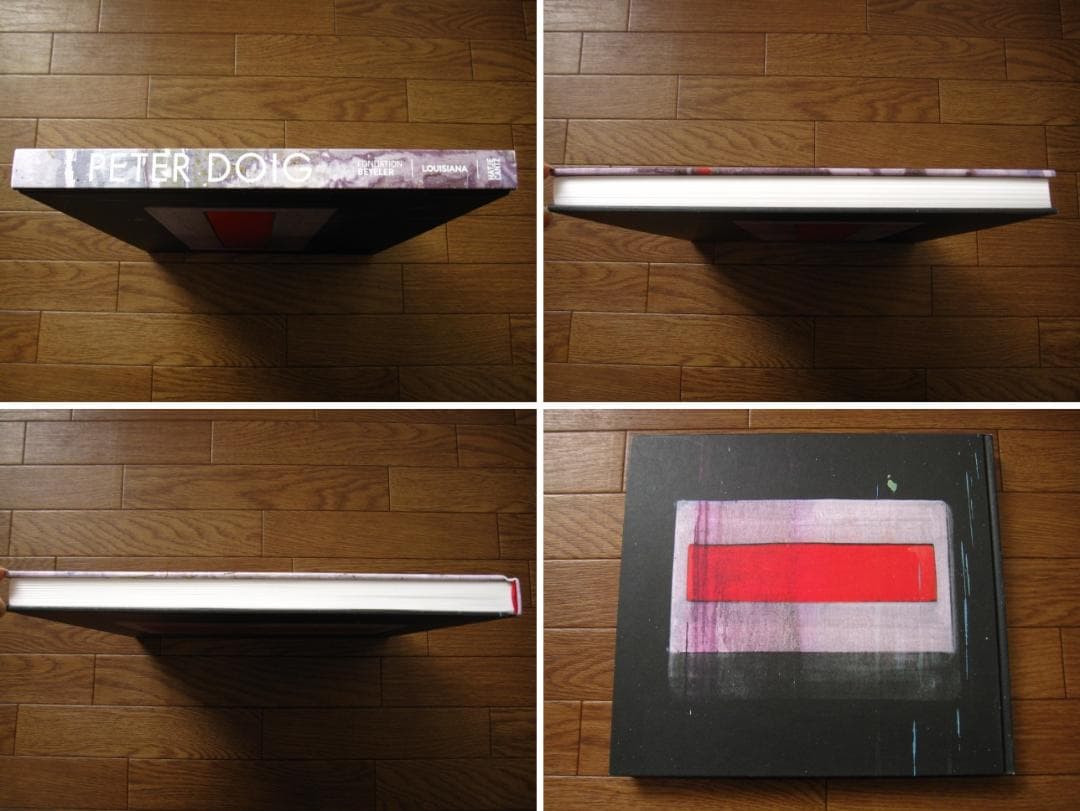 PETER DOIG　ピーター・ドイグ