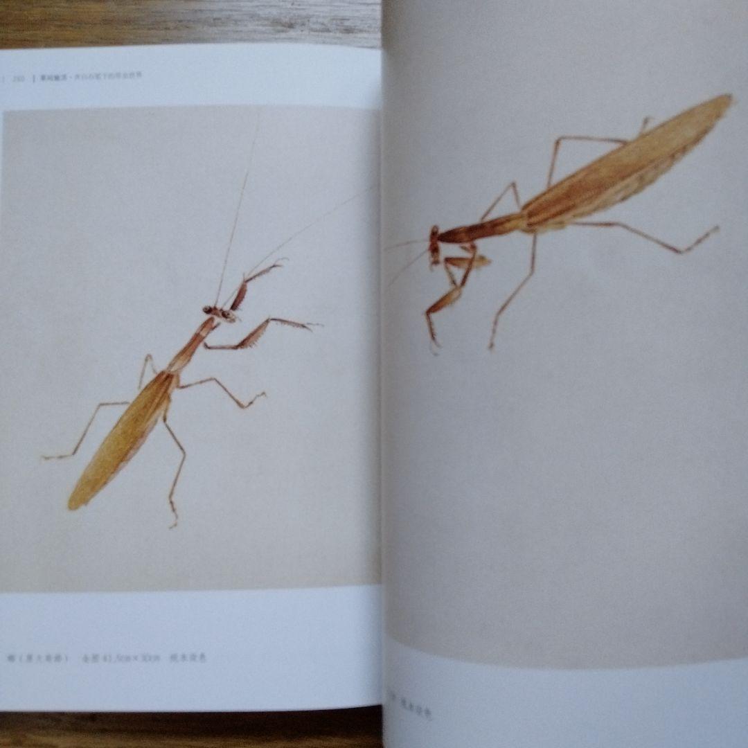 水墨画巨匠【草間偷活.斉白石草虫世界大型画集】北京画院編中国美術研究者の座右の書