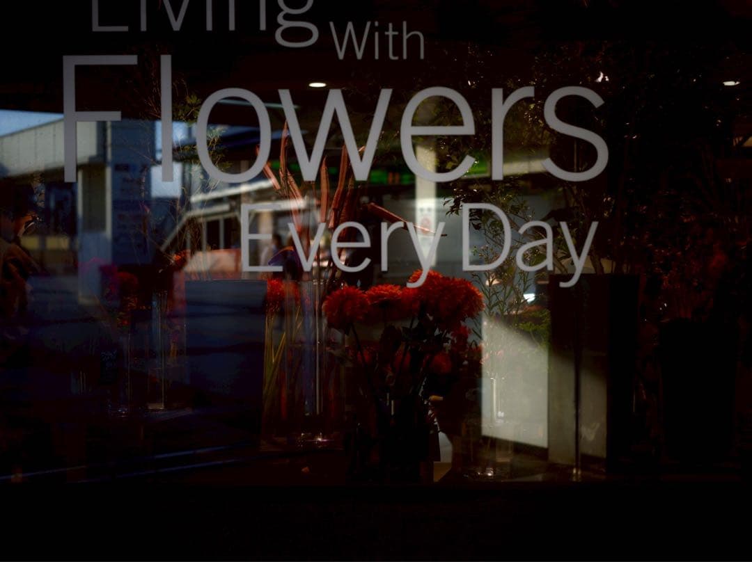 【美品】SIGMA fp ボディ