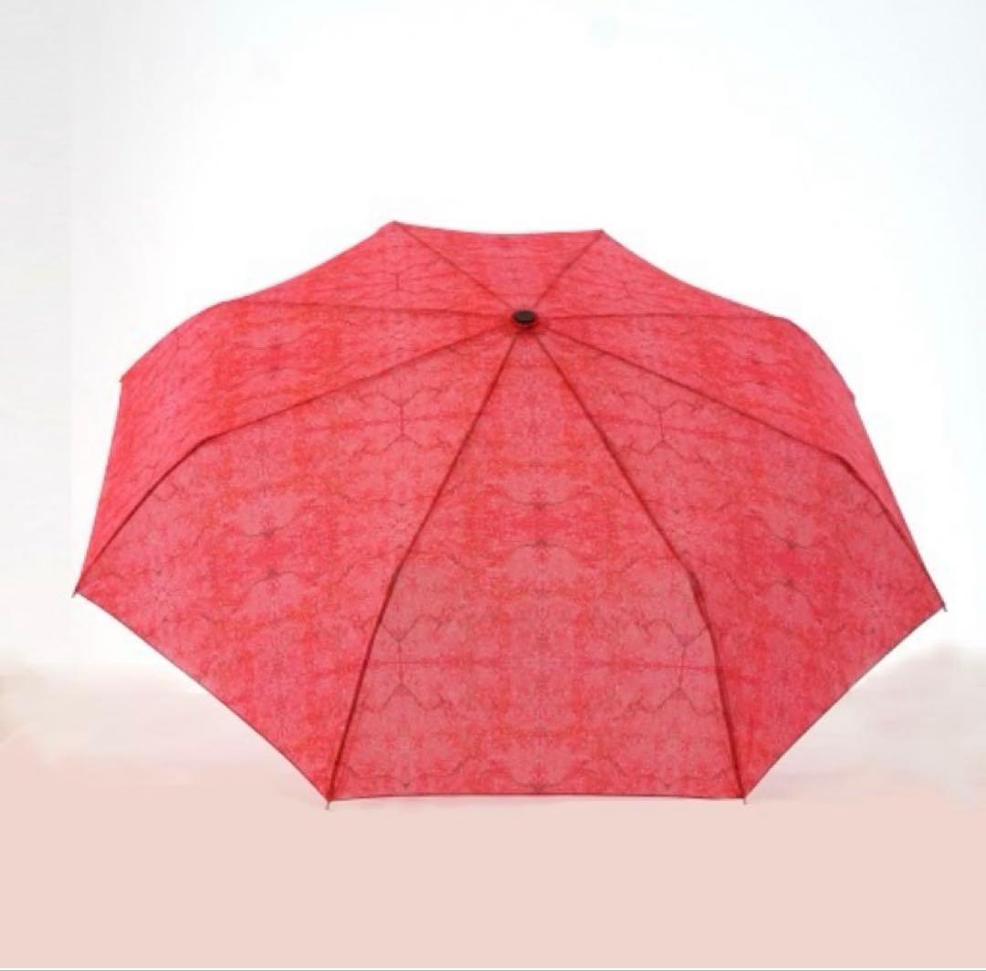 JANTJE_ONTEMBAARヤンチェオンテンバール　香取慎吾　折りたたみ傘