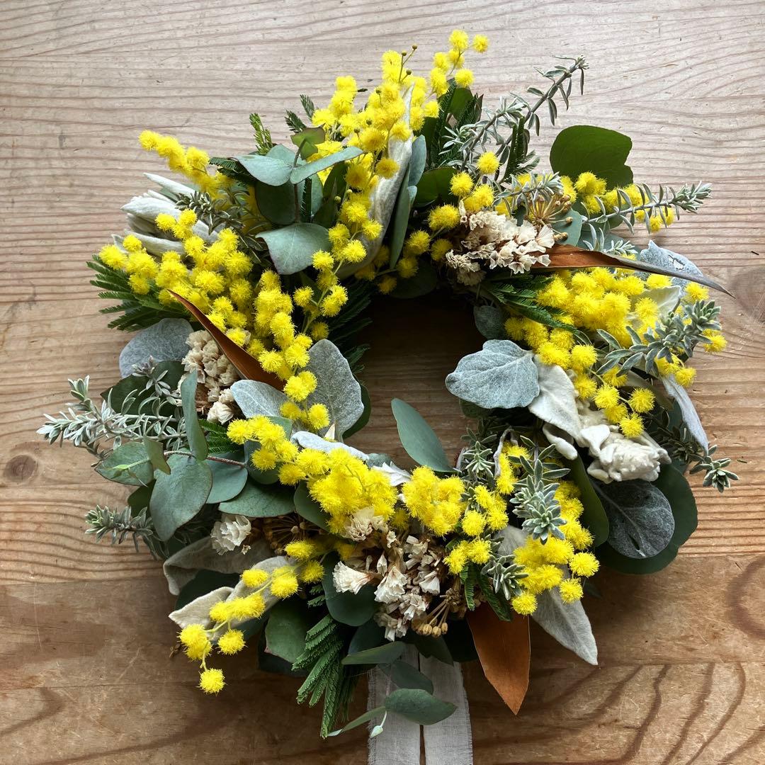 ミランドール産ミモザとラムズイヤーのリース　グレビレア　ユーカリ　スターチス