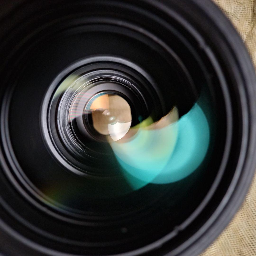 完全最終値下 美品 EF300mm F4L IS USM 迷彩スパッタ2種