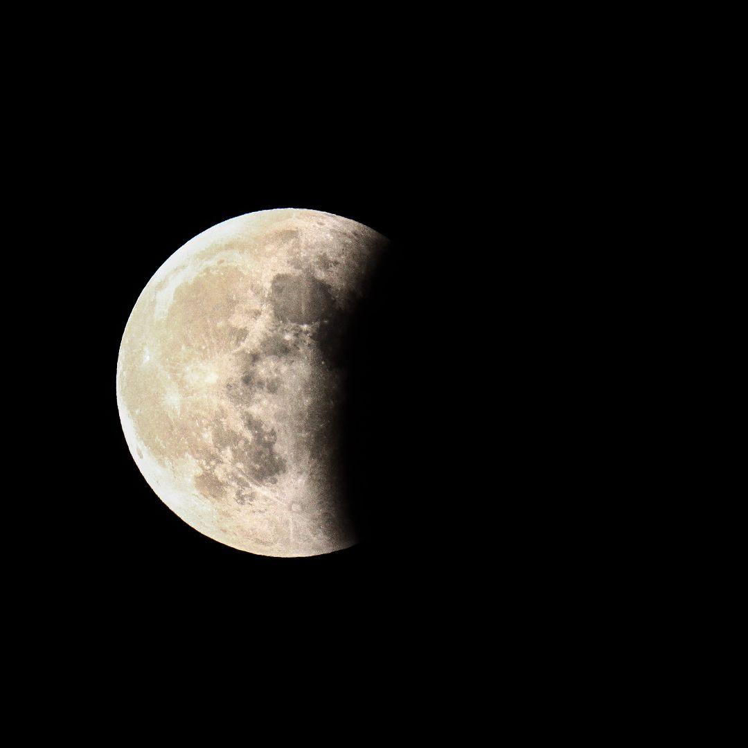 【作例あり】SIGMA 60-600mm F4.5-6.3 DG OS HSM