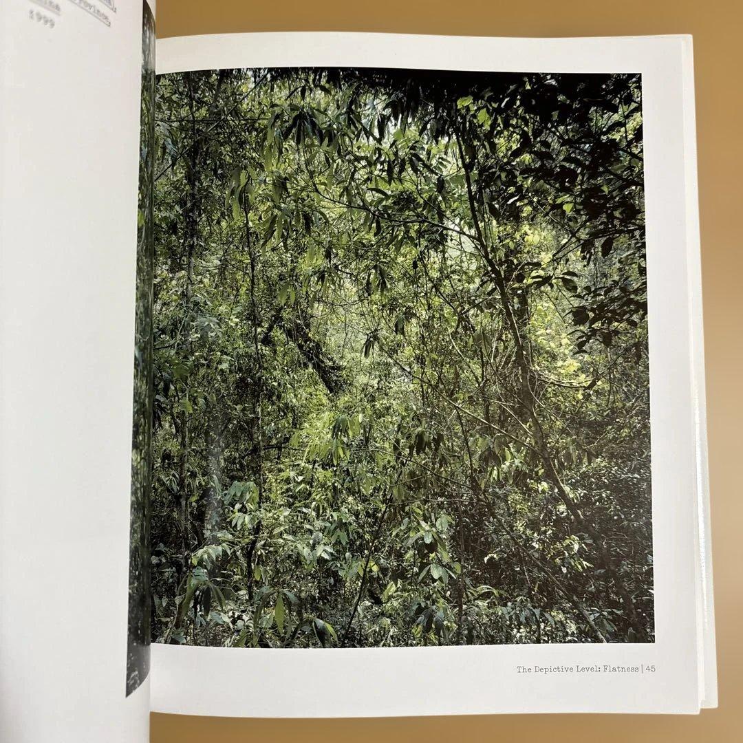 アート・デザイン・音楽 The Nature of Photographs