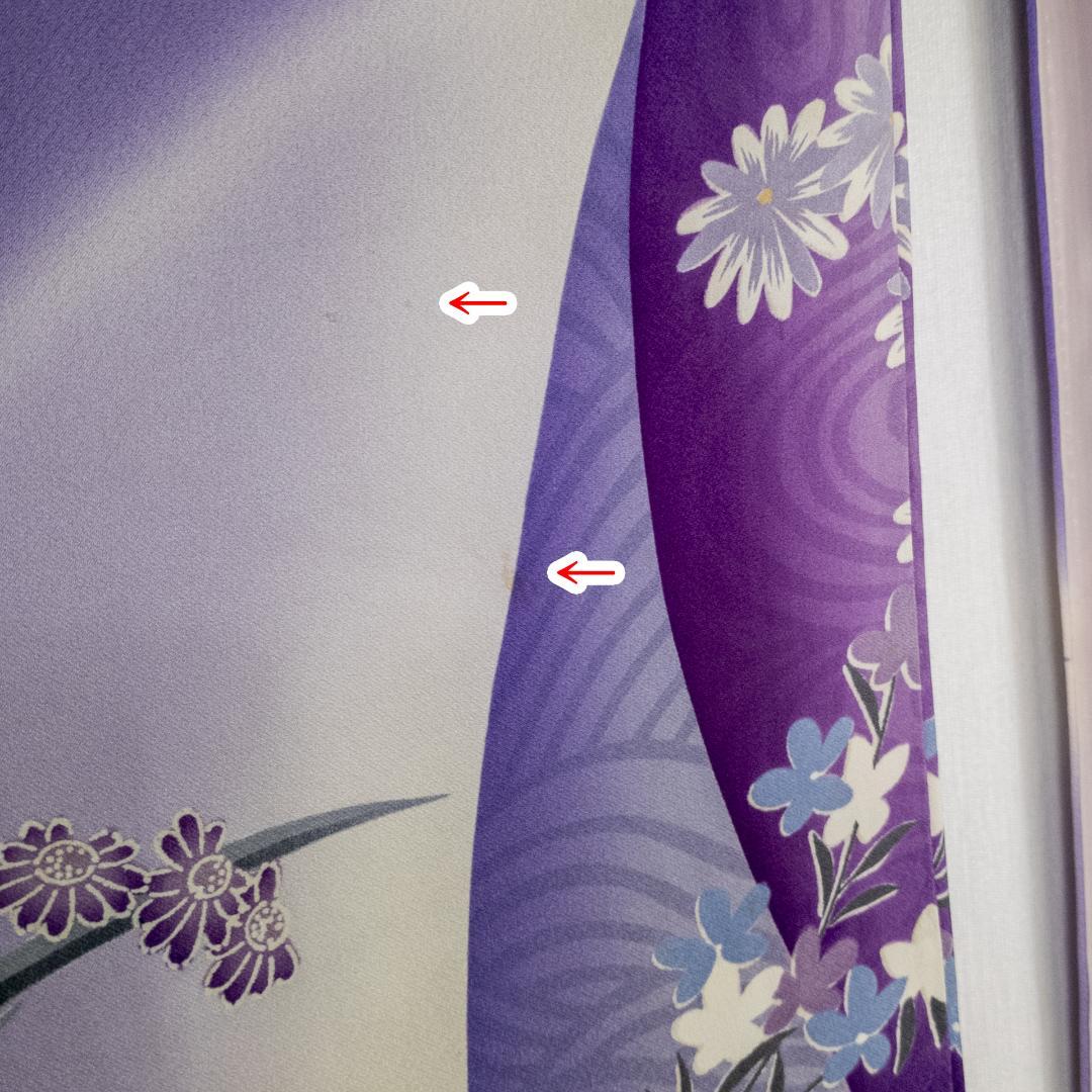 CCCH! R7SK1310 振袖+帯 2点セット 華やか 花 鶴 六通柄