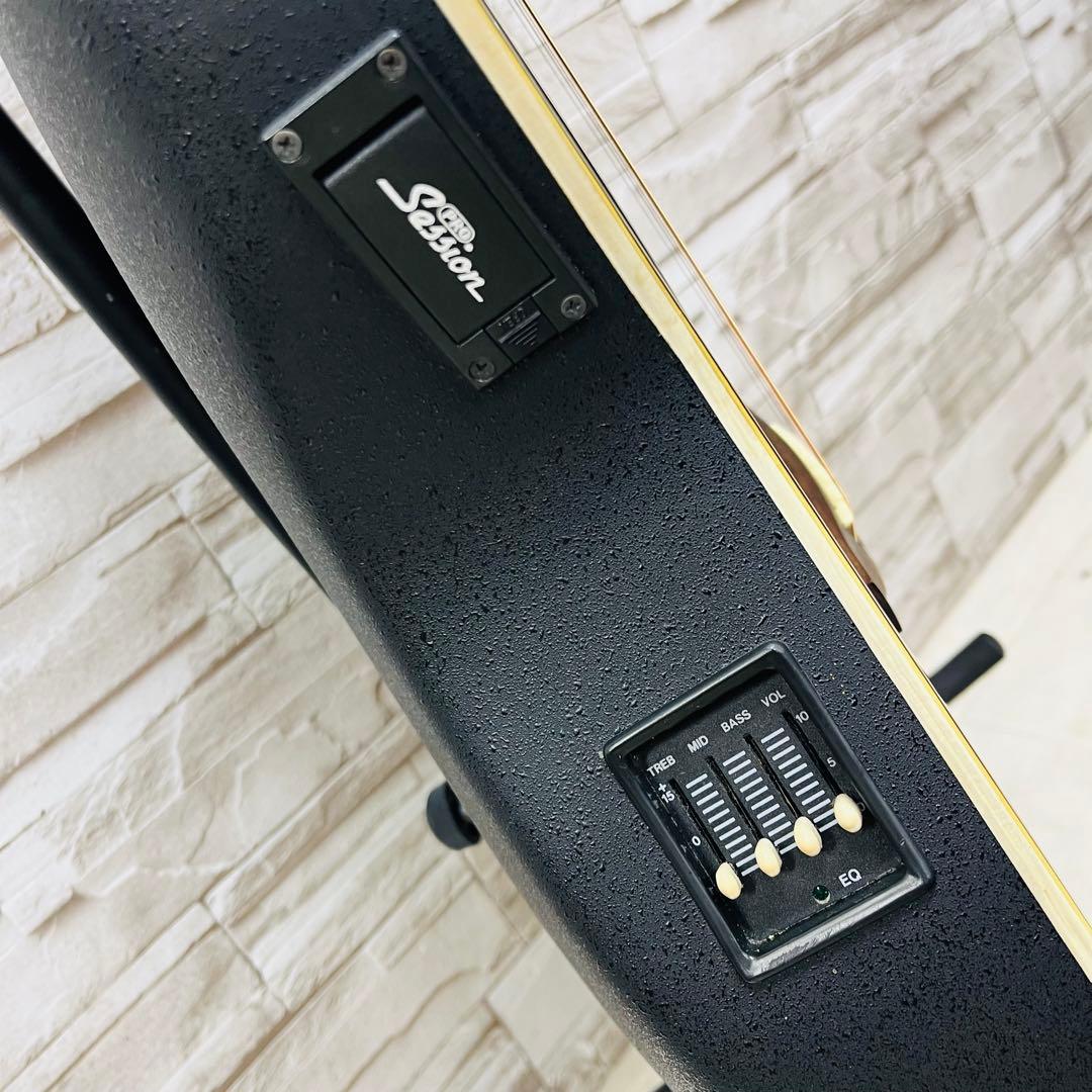 Pro Session エレアコ