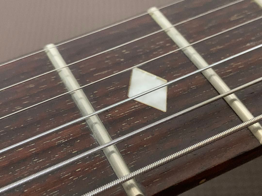 Chatting Bird Mockingbird モッキンバード hide