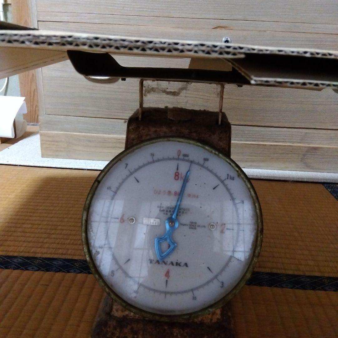 Star Light 婚礼用羽毛掛け布団　送料キャンペーン中のみ布団カバー付き