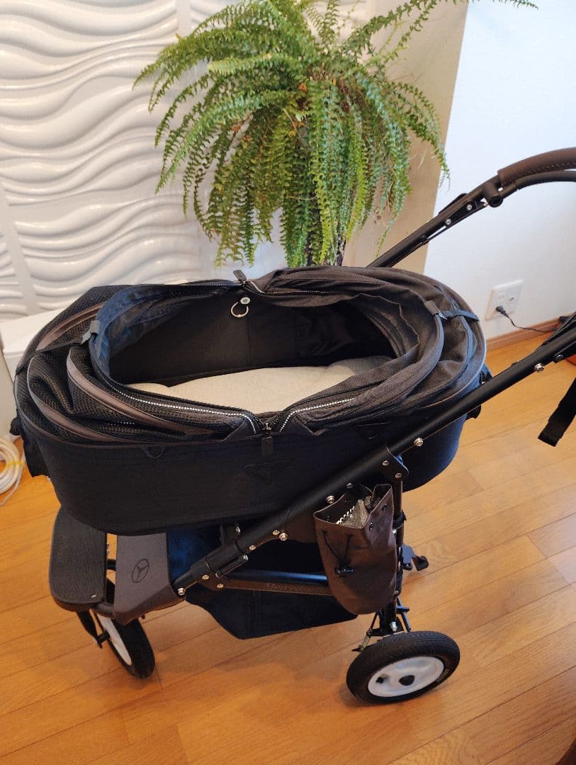 エアバギー×Mercedes-BenzDOME2 M