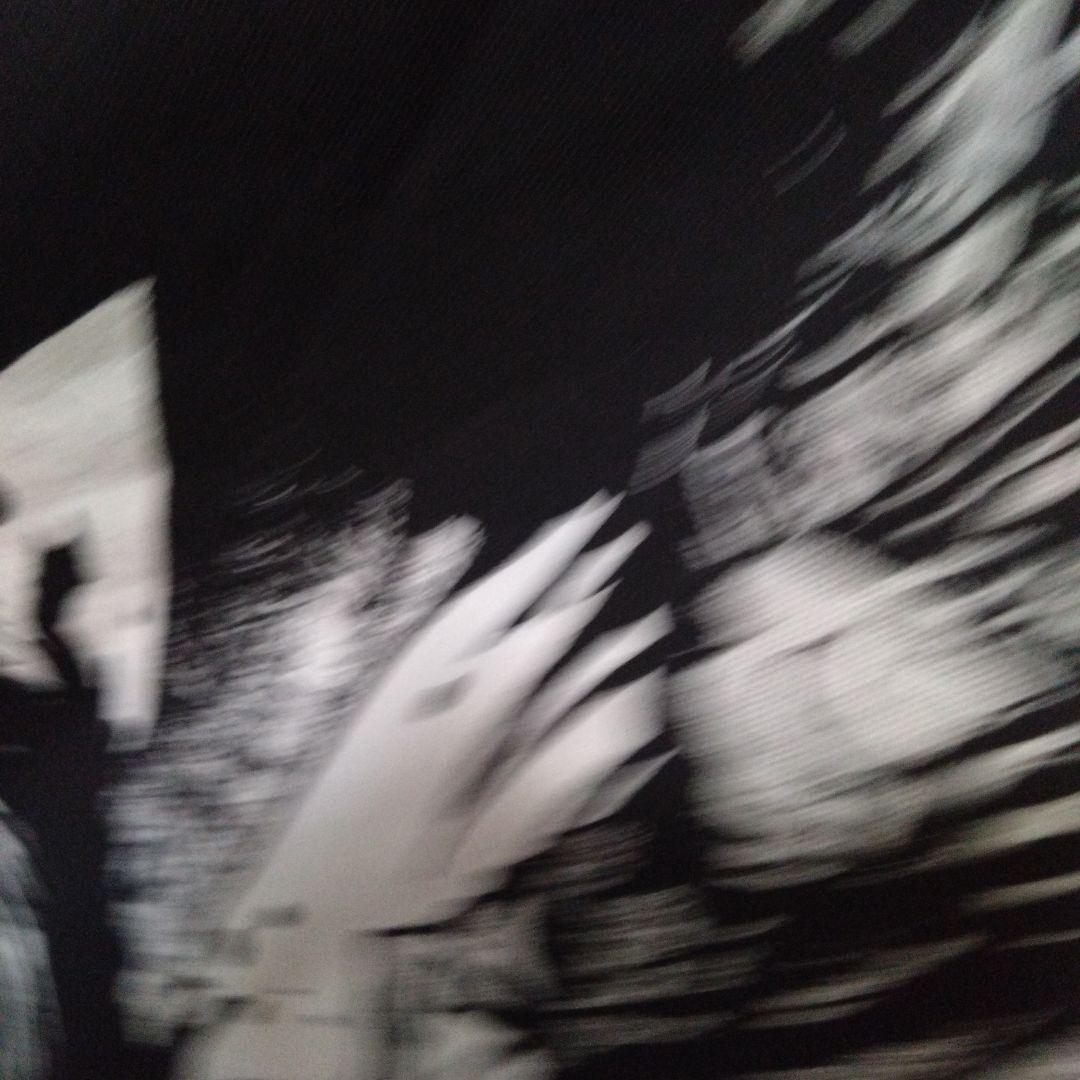 グラニフ　鋼の錬金術師 ロングtシャツ 未使用