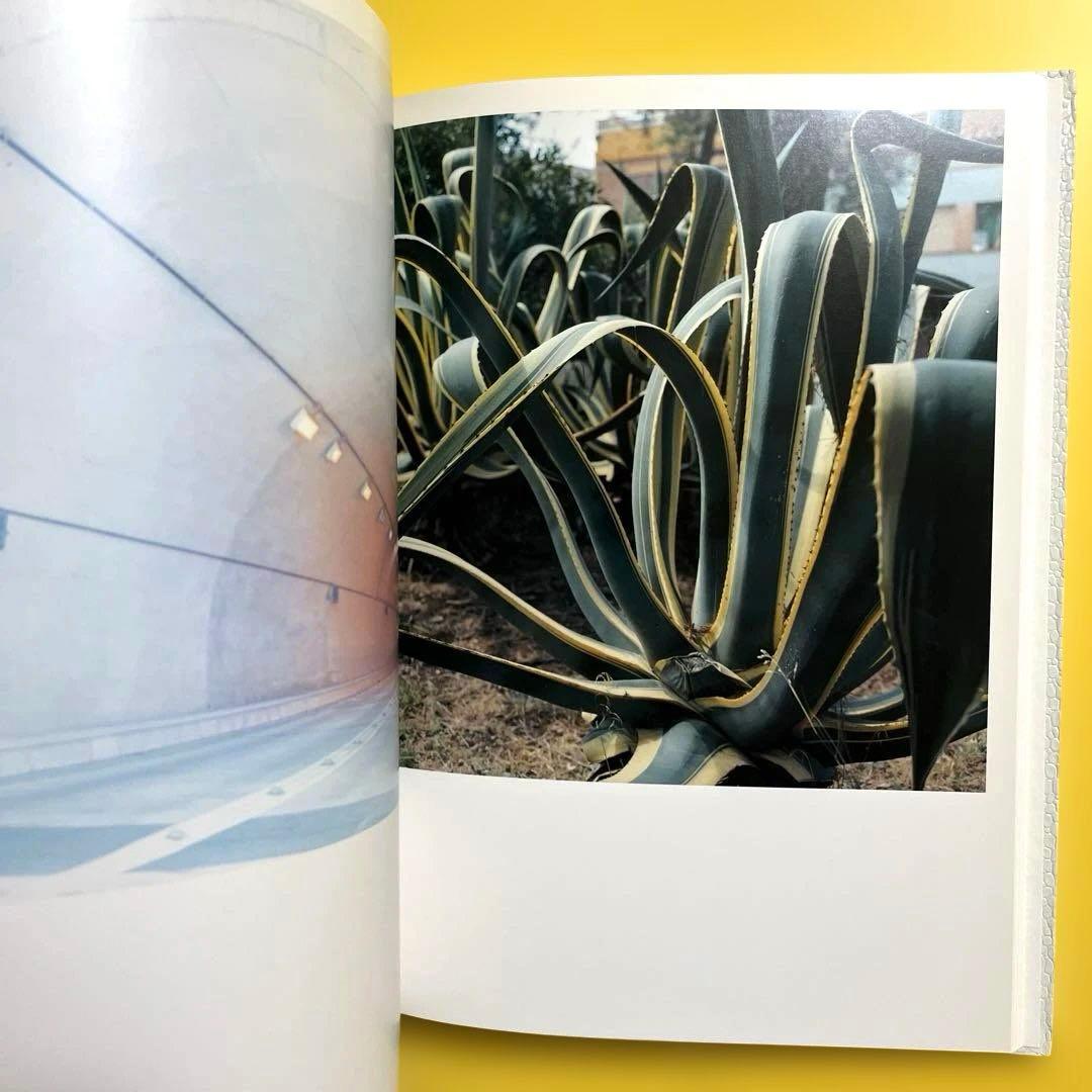 【初版】川内倫子 Rinko Kawauchi 写真集 AILA, アイーラ