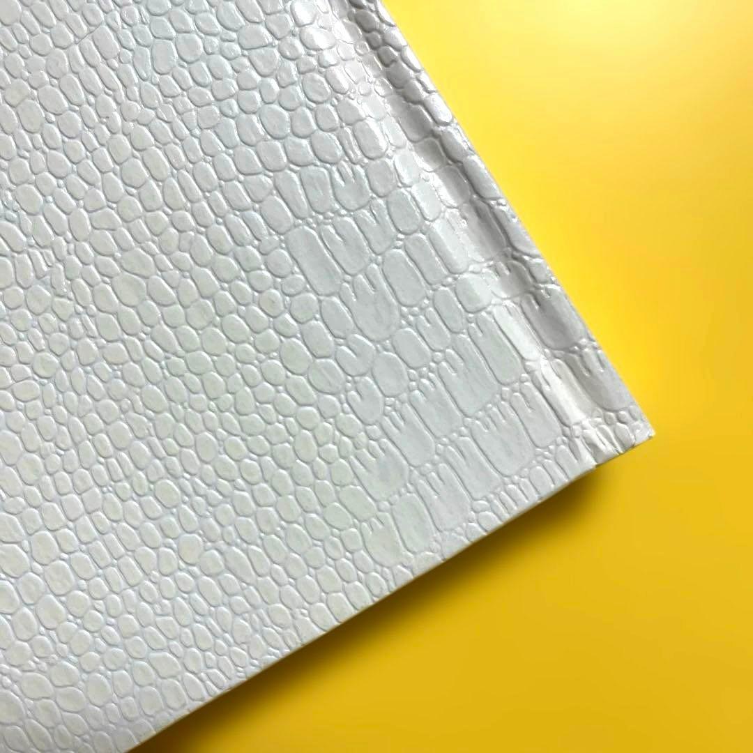 【初版】川内倫子 Rinko Kawauchi 写真集 AILA, アイーラ