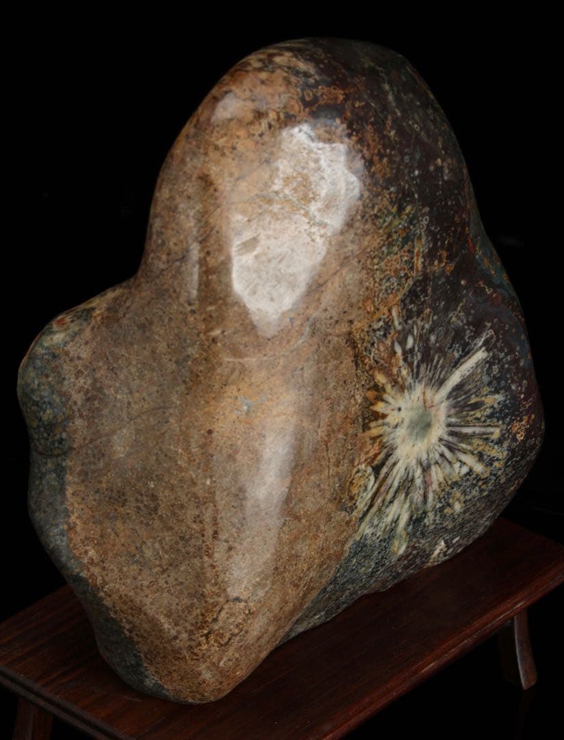 菊花石 白菊 紋石 台座付 1.4kg 鑑賞石 原石 天然石 水石 盆石 鉱物