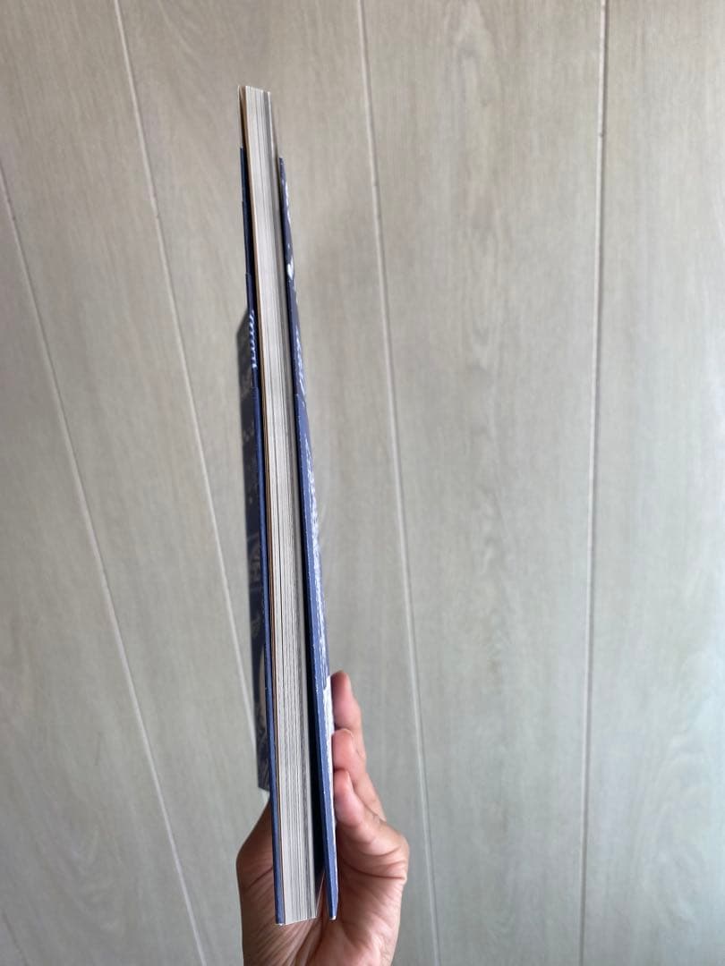 kapital キャピタル エレファントブランド バンダナ 本 絶版 希少品