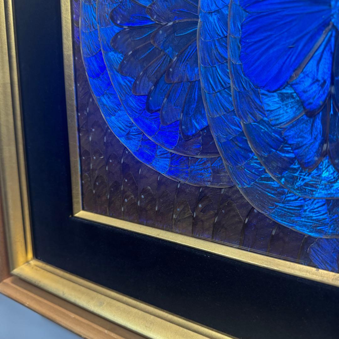RYU【希少】額装 モルフォ蝶 羽絵 アート アンティーク インテリア