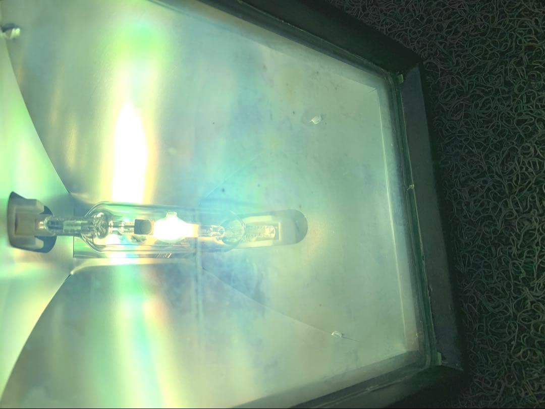 メタルハライドランプ サンライトＨ70 全生物 無脊椎 植物 水草 育成 ライト