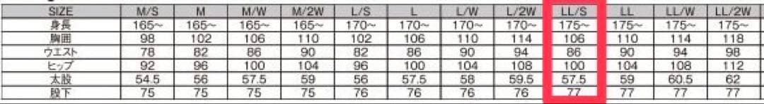 SPEED OF SOUND レーシングスーツ