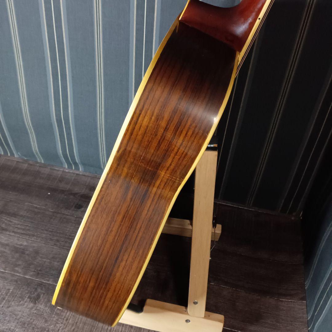 常田大希使用モデル morrisアコギ F-20 ギター KingGnu