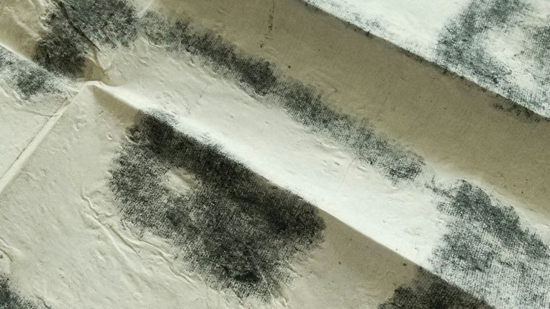 拓本 泰山金剛経 無量壽 書道 書家 金石 中国 未表装 三点