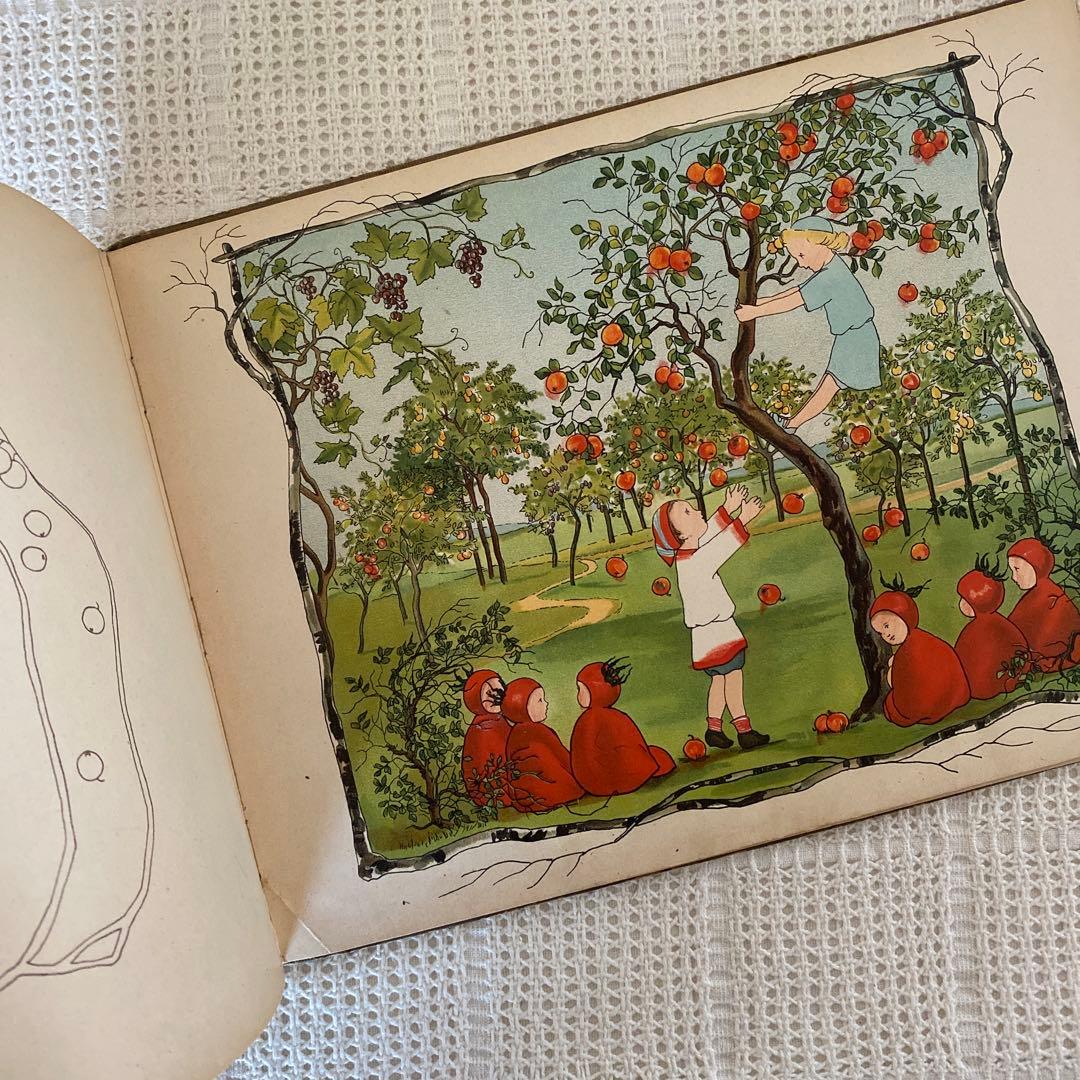 【超希少】1912年　ジビュレ・フォン・オルファース　風さん　洋書　古書