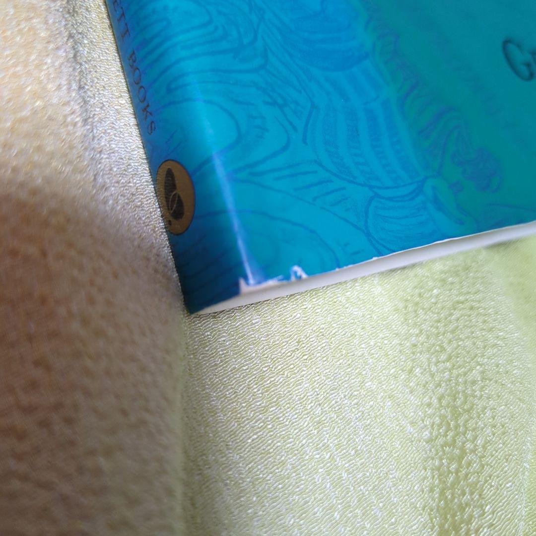 絵本・児童書 The adventures of Pinocchio