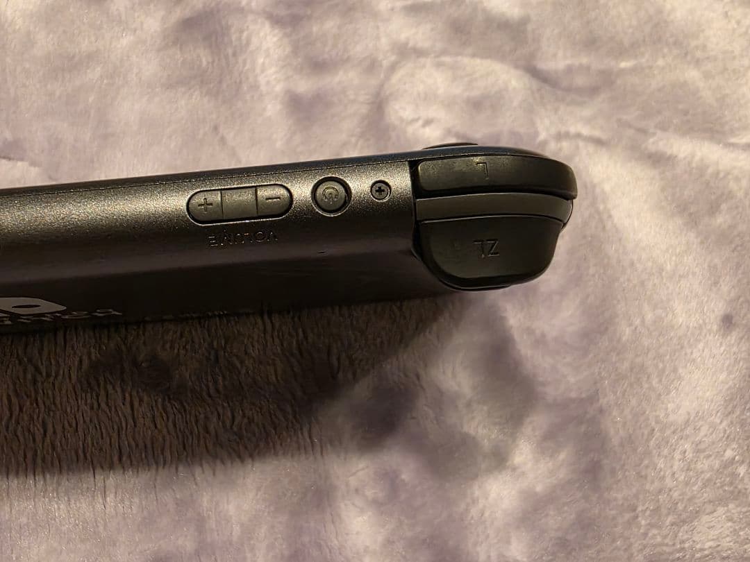 Switchライト ディアルガ・パルキア