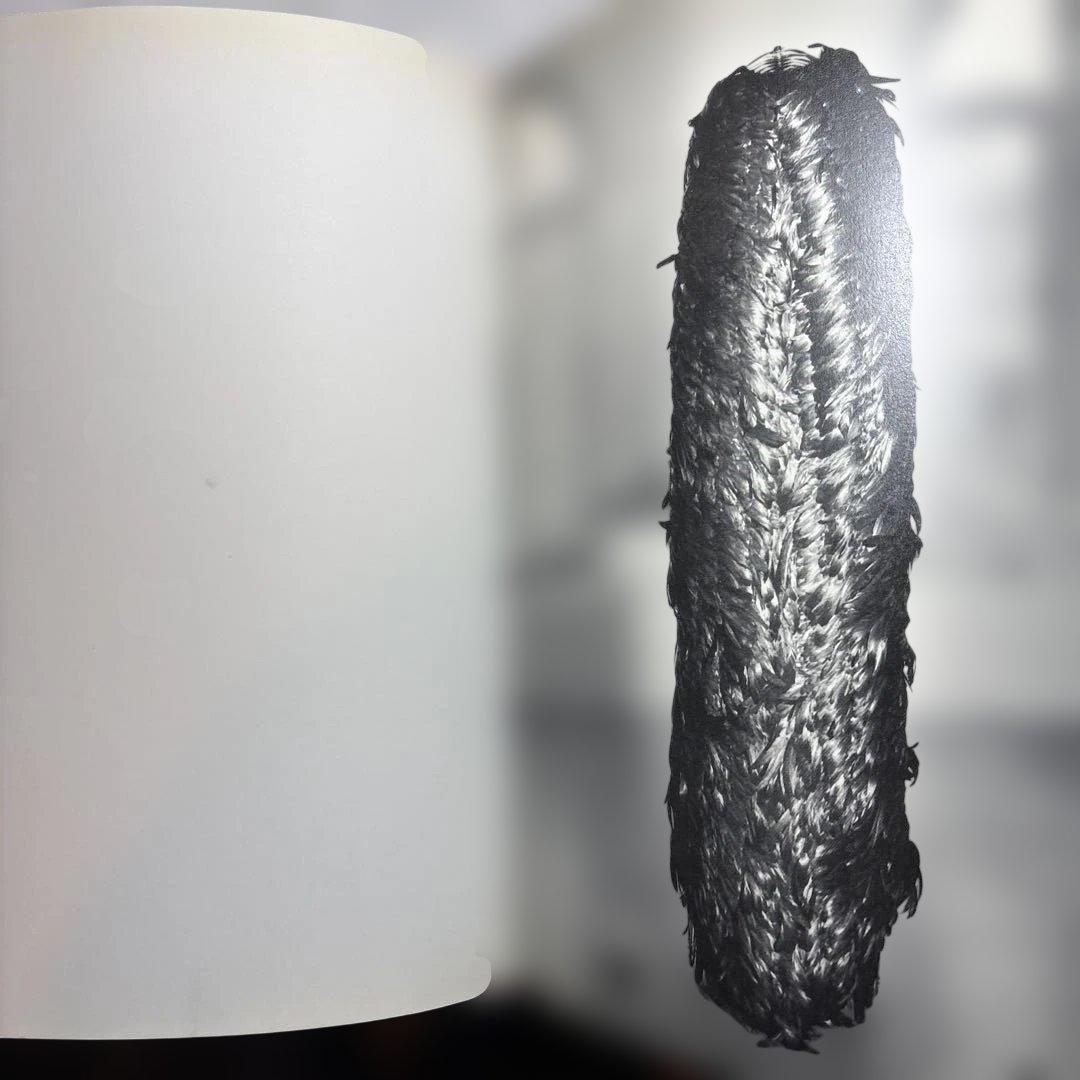 レベッカホルン　Rebecca Horn