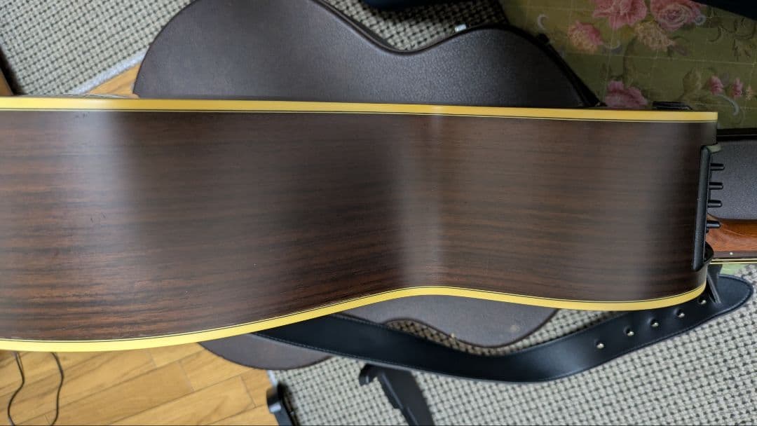 Takamine NPT-012BS【希少・名機】純正ハードケース付