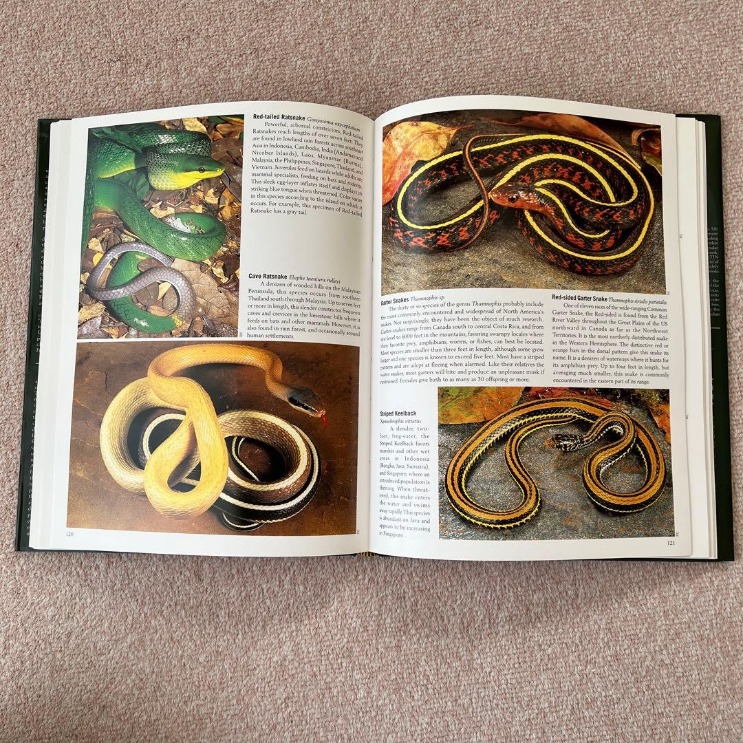 洋書　Reptiles & Amphibians 爬虫類、両生類